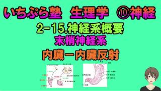 【いちぷら塾】生理学　10 神経　2-15 神経系概要　内臓-内臓反射