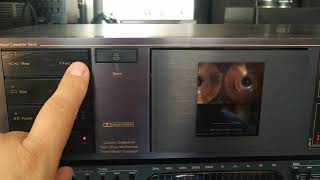 Deck Nakamichi BX-100