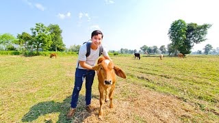 Visiting my Thai Girlfriend's Farm in Thailand 🇹🇭