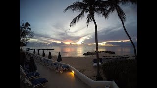 Relaxing sound of whistling Frogs From Barbados