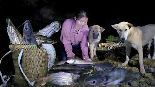 Vietnamese girl goes alone at night to catch fish for a living with two smart dogs make a living