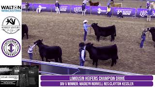 2025 Cattleman's Congress - Limousin Junior Heifer/Lim-Flex Show