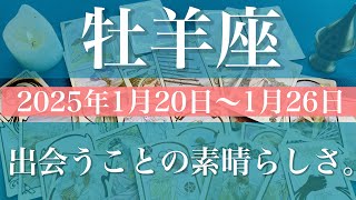 【おひつじ座】週間リーディング（2025年1月20日〜1月26日）♈️出会いの素晴らしさを知る