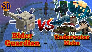 Elder Guardian VS Modded Underwater Mobs | Underwater Minecraft Mob Battle