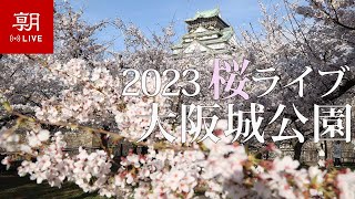 3月29日配信済【桜LIVE】春を彩る桜　大阪城公園から中継