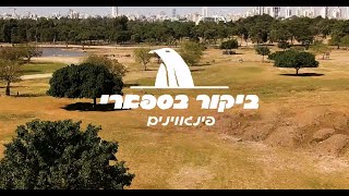 זמן משפחה: ביקור בספארי - פינגווינים