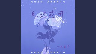 见过花开 (Dj阿卓版)