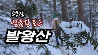 ❄️ 걸어서 올라가는 발왕산 눈꽃 산행/ 엄홍길 로드/ 하산은 케이블카 ❄️