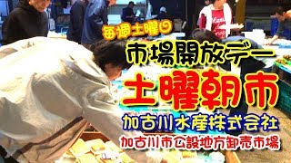 加古川　市場開放デー土曜朝市　加古川水産　加古川市公設地方卸売市場