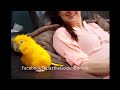 topaz the golden conure rocking to 50 cent