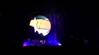 David Gilmour Live 6 "Girl with the yellow dress" Arènes de Nimes 21 juillet 2016