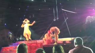 Festival of the lion king: tumble monkeys