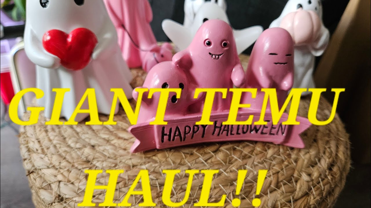 Huge Temu Haul Youtube