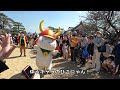 愛犬、ひこにゃんに会う おまけ 祇園しだれ桜 平安神宮 ペットとお出かけ hikone castle お花見 彦根城 滋賀 ゆるキャラ シュナウザー schnauzer