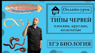 ЧЕРВИ для ЕГЭ: Плоские, Круглые, Кольчатые |ЕГЭ БИОЛОГИЯ|Freedom|