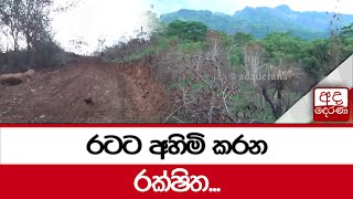 රටට අහිමි කරන රක්ෂිත...