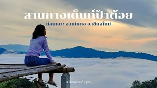 กางเต็นท์ภาคเหนือ 2/3 : ลานกางเต็นท์ป้าต้อย - ม่อนเงาะ จ.เชียงใหม่