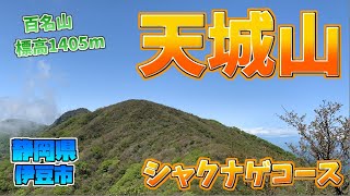 【初心者登山】天城越え～♪ 登山入門者にもおススメ百名山 天城山ハイキング