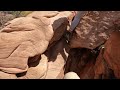 zion national park hiking angels landing in extreme wind