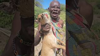 at 92 years old Hadzabe elder Successfully Hunt his Favourite food #tradition #bushcraft