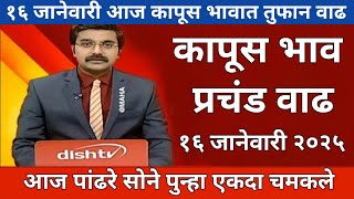 १६ जानेवारी कापूस तुफान भाव | महाराष्ट्रातील सर्व जिल्ह्याचे आजचे कापूस भाव | kapus bhav|cotton rate