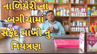 સફેદ માખી ની સંપૂર્ણ માહિતી || safed makhi ka ilaj || Whitefly control insecticide || #safedmakhi