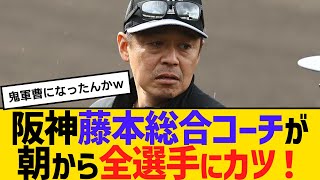 阪神藤本総合コーチが朝から全選手にカツ！　【ネットの反応】【反応集】