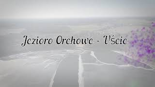 Jezioro Orchowe