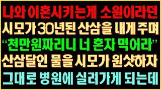 [반전실화사연] 나와 이혼시키는게 소원이라던 시모가 30년된 산삼을 내게 주며 “천만원짜리니 너 혼자 먹어라” 산삼달인 물은 시모가 원샷하자 그대로 병원에 실려가게 되는데 커피엔톡