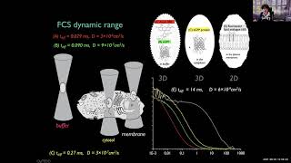 Petra Schwille - Sngle molecule methods to study protein dynamics on membranes - Imaging ONEWORLD