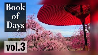 昇竜しだれ梅園│紅色花の絨毯│静岡県浜松市││Book of Days【vol.3】Japanese plum blossom│Hamamatsu city│Japan