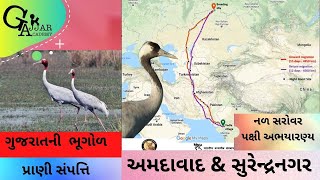 નળ સરોવર પક્ષી અભયારણ્ય || GAJJAR ACADEMY || HARSHAD SIR