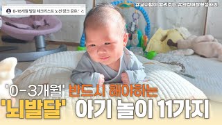 0-3개월 아기를 위한 필수 발달 놀이 11가지 5분만에 알려드릴게요.ᐟ | 뇌 성장의 골든타임✨ | 총정리 노션 링크 공유