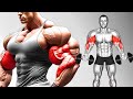 Most Effective Workout for Biceps Muscle Growth