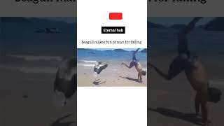 Seagull makes fun of a man |ETERNAL HUB | #shorts #eternalhub #science #science