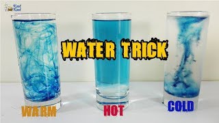 Diffusion of Food Dye In Hot \u0026 Cold \u0026 Warm Water