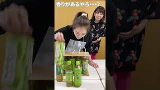 【お茶飲み比べ🔥】テイスティングチャレンジwith谷川りさこ