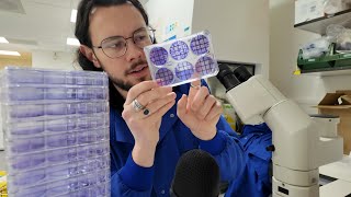 ASMR | Counting 9,299 Stem Cell Colonies | Boring and Repetitive Lab ASMR