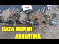 ARGENTINA SMALL HUNTING