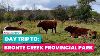 Let's Visit Bronte Creek Provincial Park