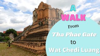 From Tha Phae Gate to Wat Chedi Luang in Chiang Mai Thailand | The Happy Frog Restaurant