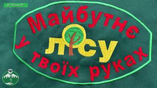 У Кутському лісовому господарстві стартувала весняна посадка лісу