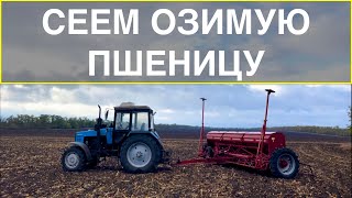 СЕВ ПШЕНИЦЫ 2022 | НОЧЕВКА В ПОЛЕ