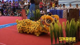 吉隆坡光艺龙狮体育会 Kwong Ngai Lion and Dragon Dance Association