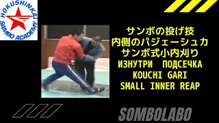 サンボの投げ技　内側のパジェーシュカ（小内刈り）Kouchi gari  Small inner reap