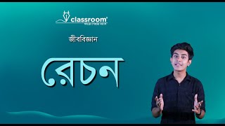 রেচন l Biology l SSC l ClassRoom