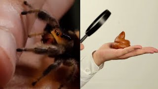 The Weirdest Scientific Studies We Ve Ever Seen