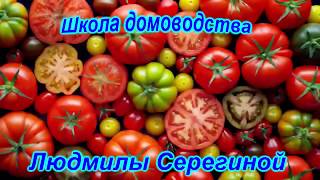 Что такое пасынки и зачем их удалять? / Еще раз о томатах