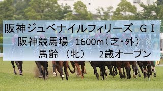 2017年　阪神ジュベナイルフィリーズ　GⅠ　データ分析・傾向