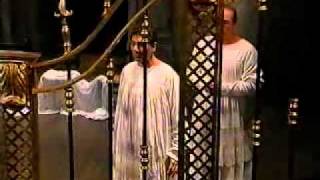 La Gatta Cenerentola - Completo -